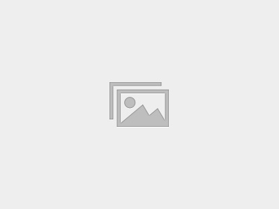 Applied Ethics – Vocational Rehabilitation Practice – 4 Ethics CEUs